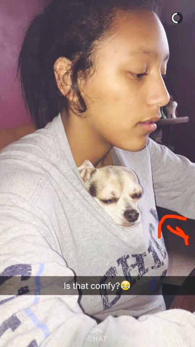 I like dogs :) https://t.co/LJ2qcZjEGl