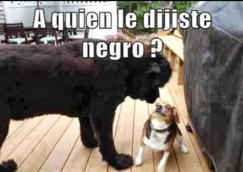 javi GH (@twisetejaviiii) on Twitter photo 