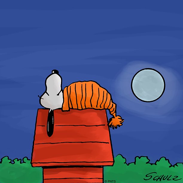 Snoopy Getting Ready For Bed