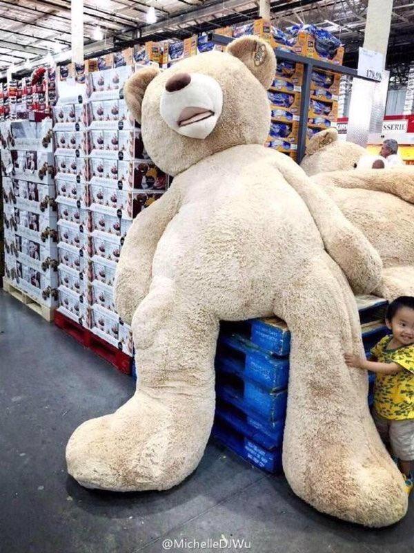 thefemaleboook's tweet image. I JUST WANT A GIANT TEDDY BEAR