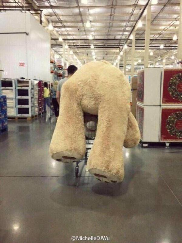 thefemaleboook's tweet image. I JUST WANT A GIANT TEDDY BEAR