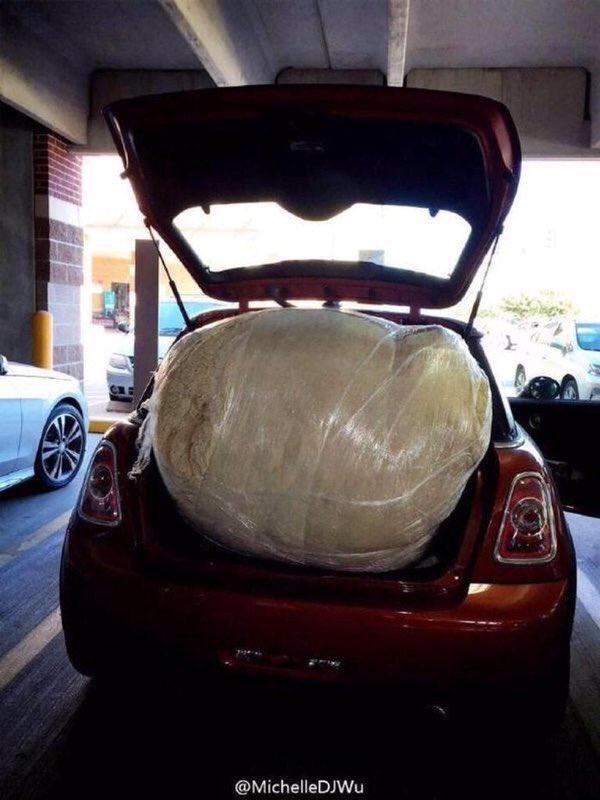 thefemaleboook's tweet image. I JUST WANT A GIANT TEDDY BEAR