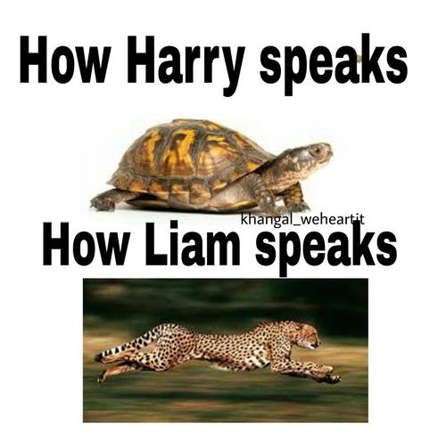 kejkoweciastko's tweet photo. Takie prawdziwe😂😂😂👏
#zdjeciaktorezrylymipsychike
#TypoweOneDirection https://t.co/iAn3HEiKww
