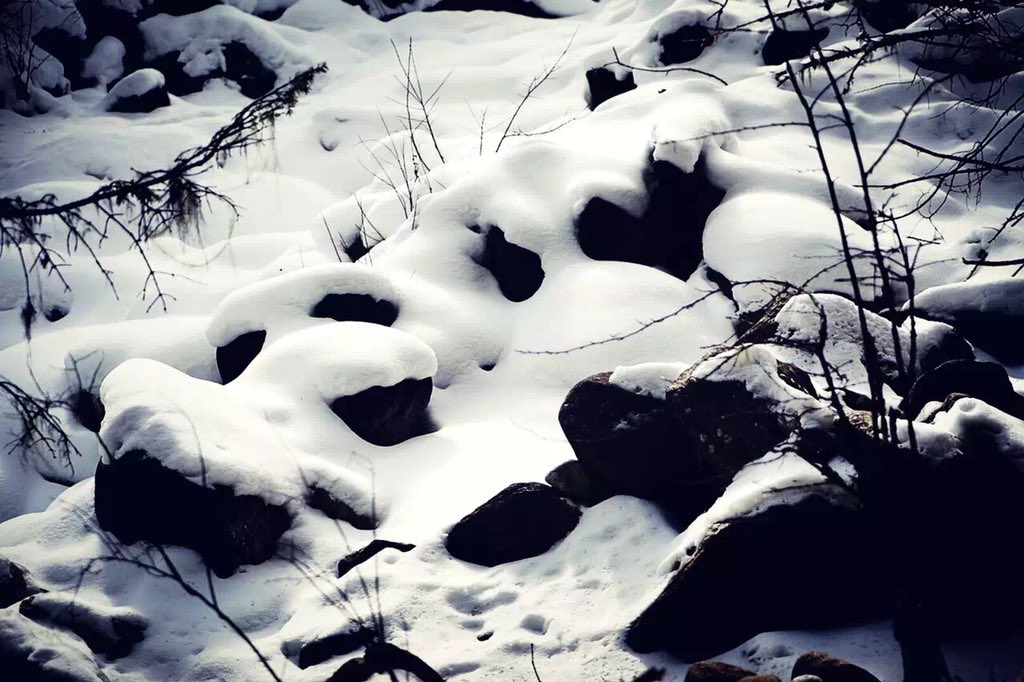 JiYi975's tweet photo. 雪村 https://t.co/BgIvwyjjvY