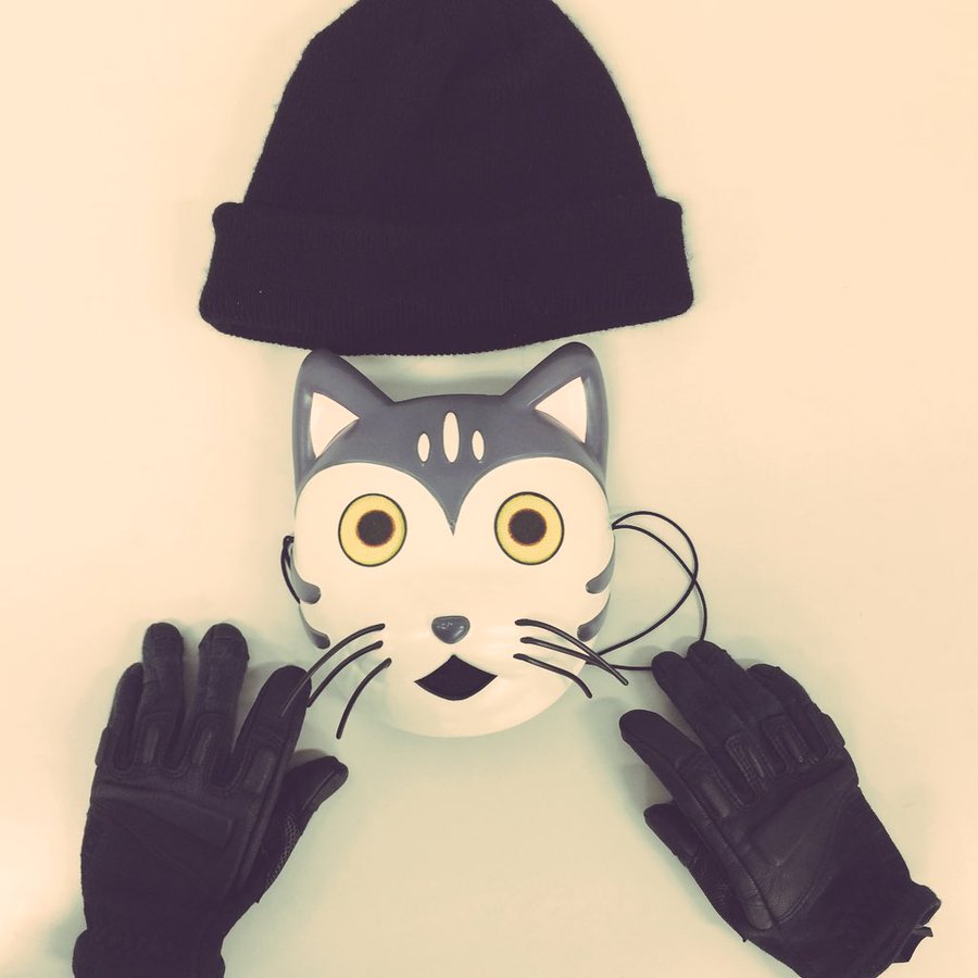 ドラマ 怪盗 山猫 の動画を無料で1話から最終話まで視聴できる配信サイトは