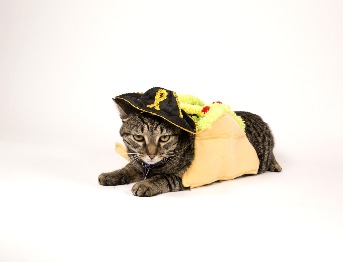 Julia Compton (@comptonjulia) on Twitter photo 