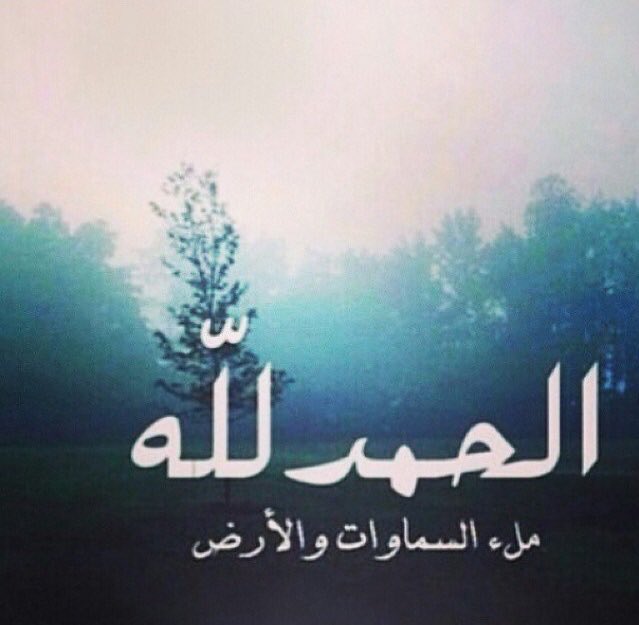 mnosemo's tweet image. 