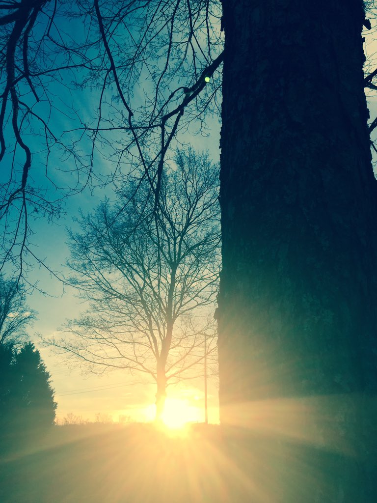 AutumAsher's tweet image. A picture from the place we are moving to. Alabama. It's beautiful