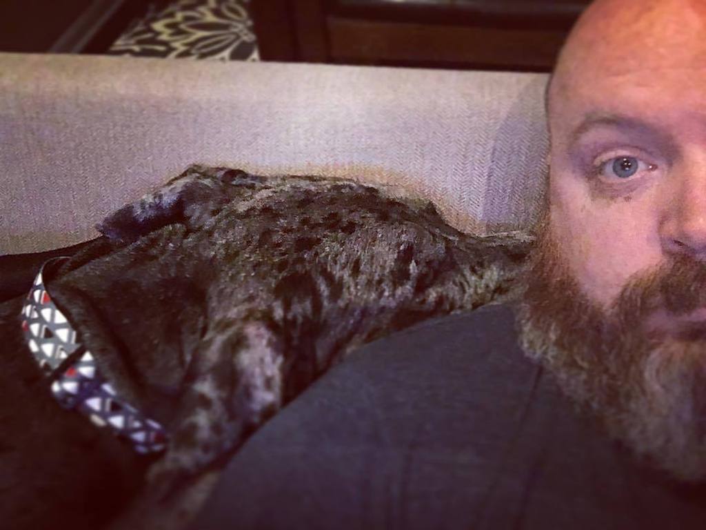TattooedBacon's tweet image. He’s a big dog that just wants to cuddle. #greatdane #greatdaneproblems