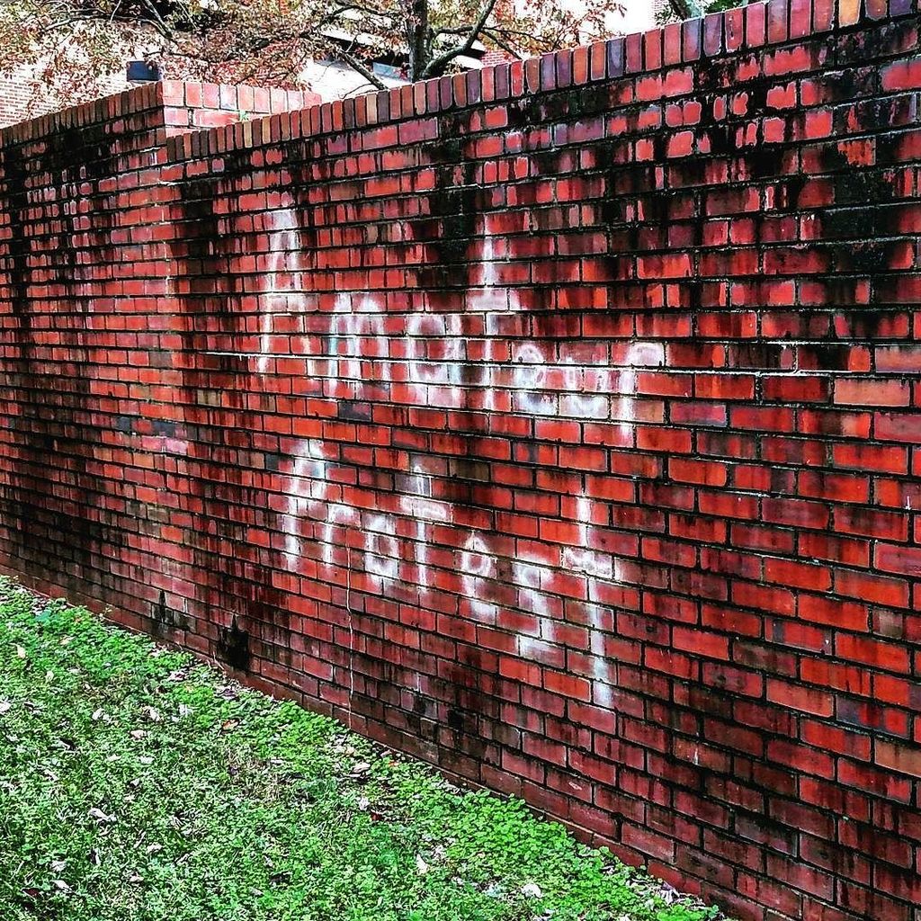 ProtestPin's tweet image. RT fsuselfie1: #amateurprotest #amateur #notprofessional #unprofessional #notexperienced #inexperienced #pasttime …