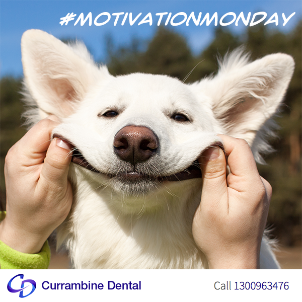 CURRAMDental's tweet photo. “A smile is contagious...Be a carrier!” #MotivationMonday https://t.co/HMAOoEyRAx