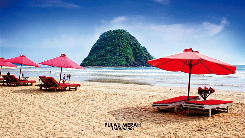 BaliMajesty's tweet photo. paket transfer in
denpasar - pantai merah banyuwangi 
350.000 per orang sudah termasuk :
(car + driver + bbm ) https://t.co/dwgT7Mt5qG
