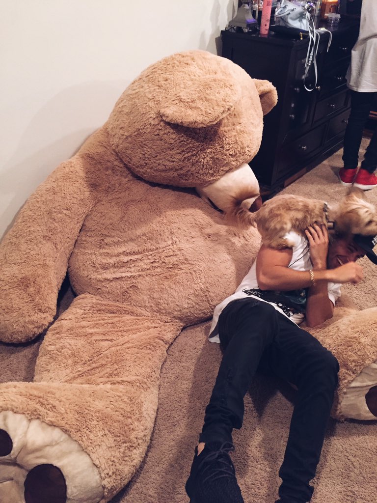 jakemiller's tweet photo. It's all fun and games until a dog humps your face https://t.co/e14RbONtyp https://t.co/FPd5vevlva