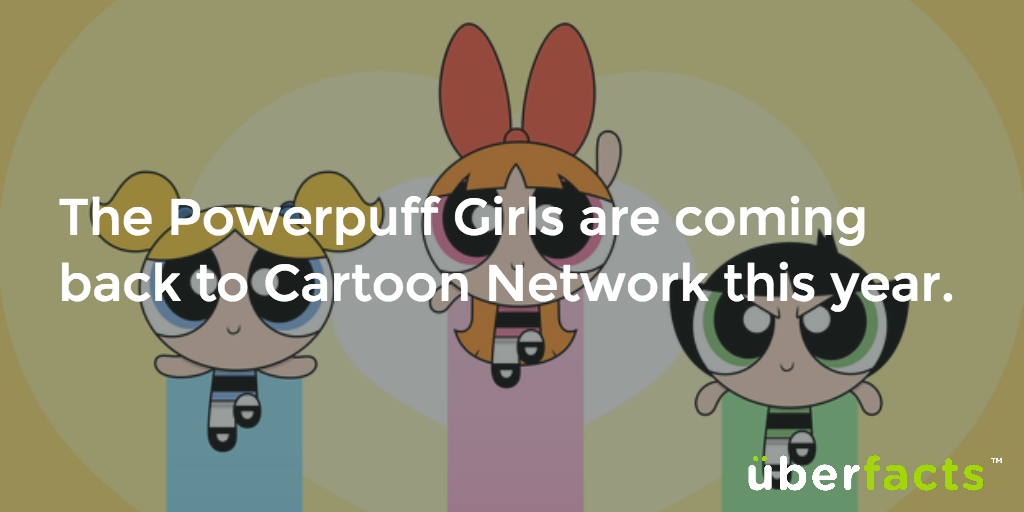 UberFacts's tweet photo. In case you didn't know. 
https://t.co/kOqXPNBaYq https://t.co/H0Ah66NMuN