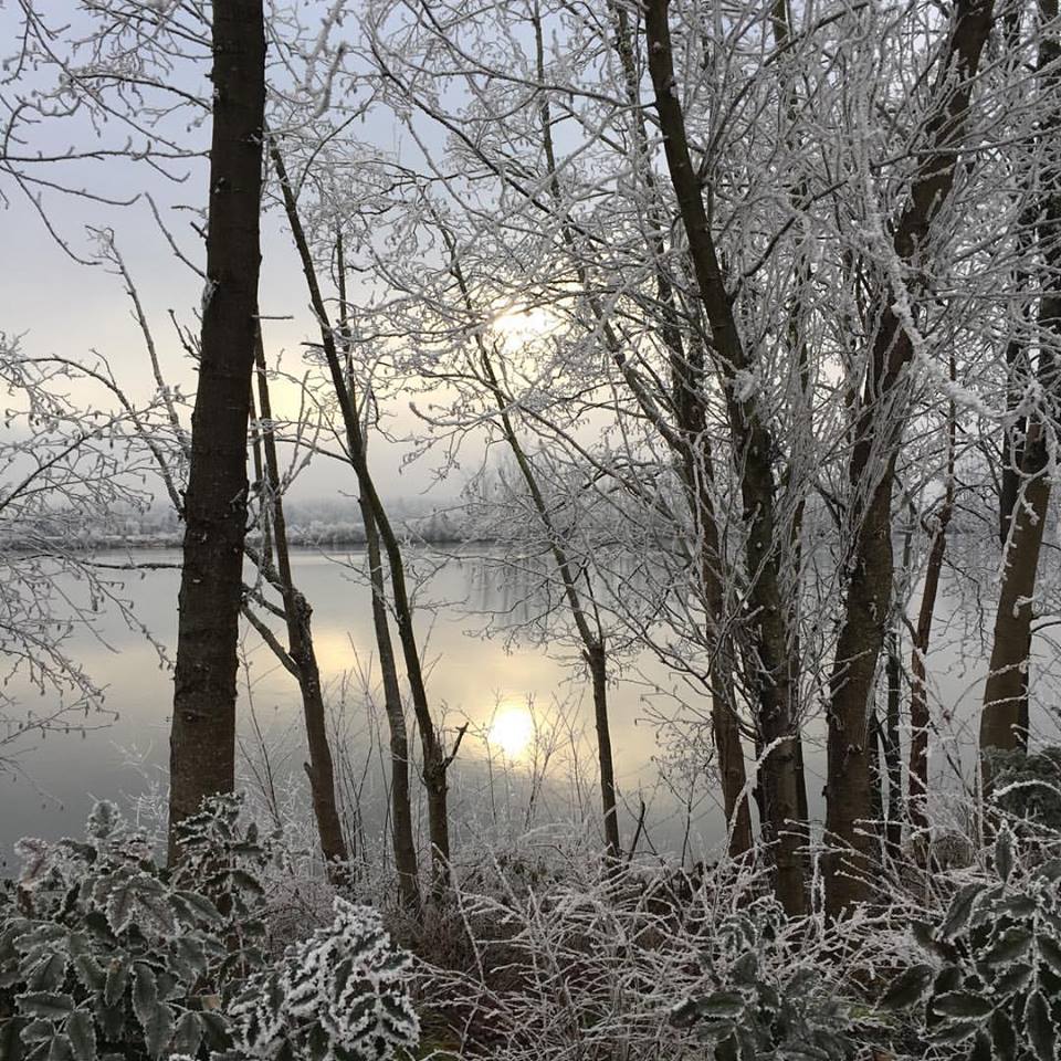 Can't get enough of this spectacular frost! #OspreyVillage, #PittMeadows
Photo by Erin Thompson​

#Exploremapleridge