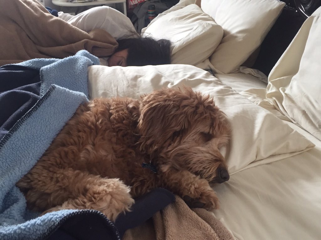 LIVV_itup's tweet photo. NYE got the best of us https://t.co/YC37URLTYx