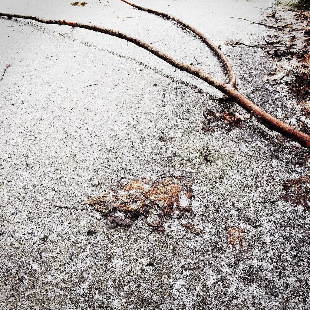spayne's tweet photo. A smattering of snow. https://t.co/IcgRSKSROM https://t.co/w6NUkpizsG