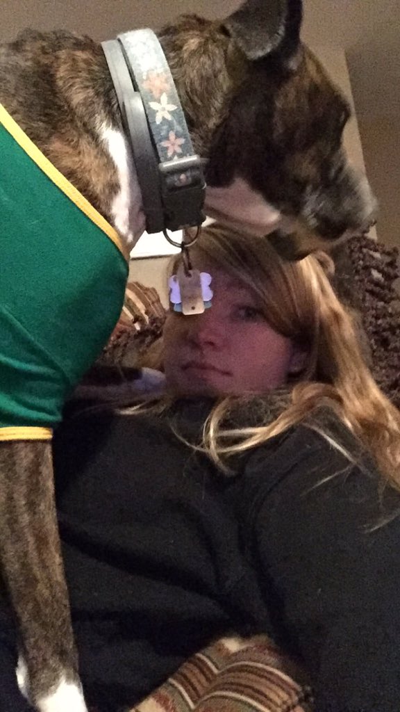 bcwolfeee tweet picture