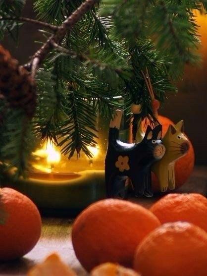 yawantt's tweet photo. ...много-много мандаринок https://t.co/a3lWveipVD