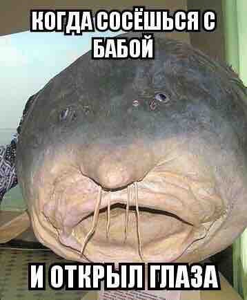 ты натурал. когда сосался 2 часа. когда целовался с ней. тюбик с клеем вытекающим. гетеросексуальные парни.