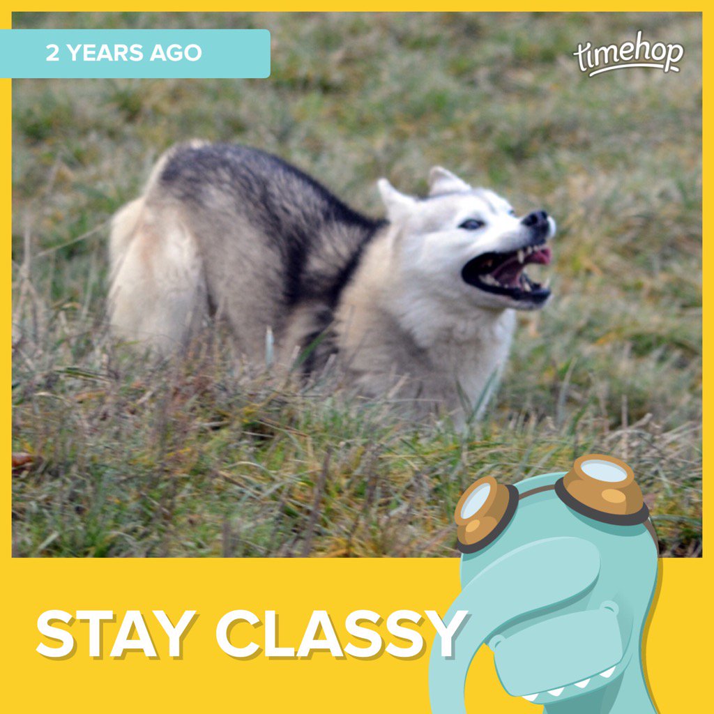 klybob's tweet photo. Just another derpy moment in Keillor's life. Never change, buddy, never change. #FluffyDisasters #derpF #timehop https://t.co/mj70wHsvkM