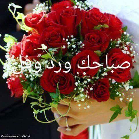 hammadf82's tweet image. 