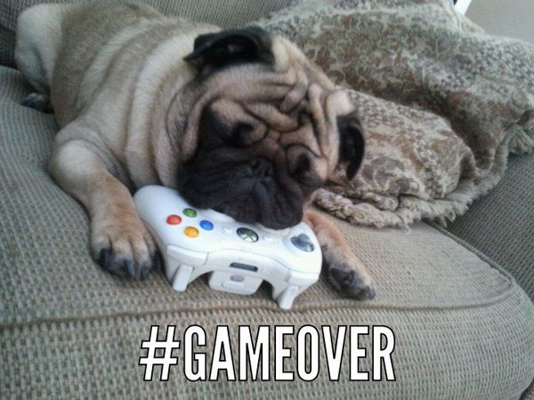TheSoulfulEMU's tweet photo. #TheGameIsOverWhen the battery's run out on one's controller! via @lord_pugsley #DogsOfTwitter https://t.co/nYnvIJWfxE