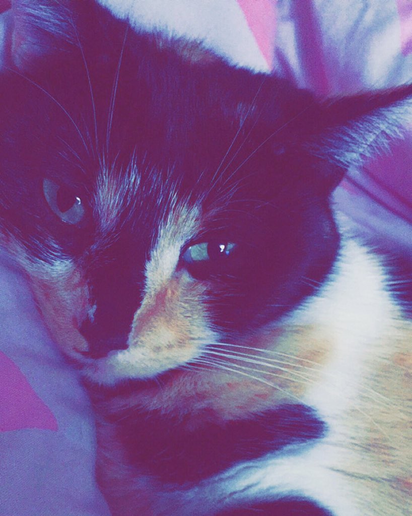 Hey guys I have some great news. I now have an Instagram account with loads more info about me go follow <a href="/kitty_kee/">Caitie Horan</a>