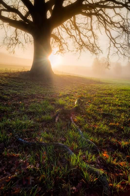 offroadprofiler's tweet photo. Light will always find a way to shine.
Good morning everyone, wish an amazing week. https://t.co/Ef7bQvCBzF