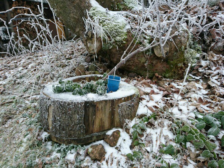 *meditier* @TerrorCatGang