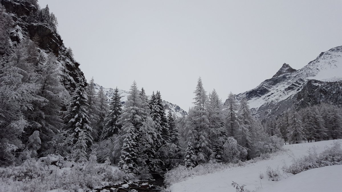 PeiseyVallandry's tweet photo. @gbuffet Elle est arrivée! :) #neigefraîche #peiseyvallandry #paradiski #sitenordique #pontbaudin #aliet #bellecote https://t.co/jD4cxjKeFq