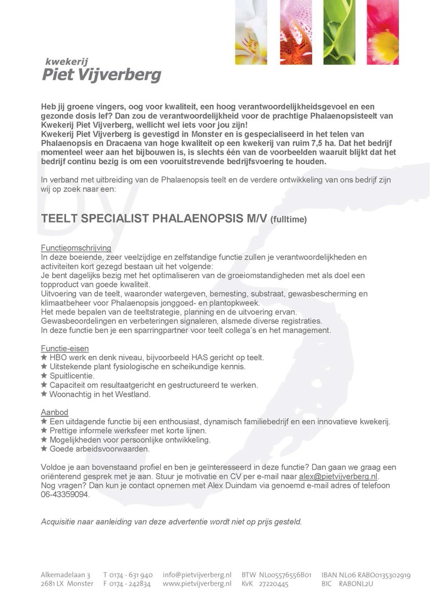 Wij hebben een vacature voor Teelt Specialist Phalaenopsis!
Is deze uitdaging iets voor jou? Neem dan contact op.