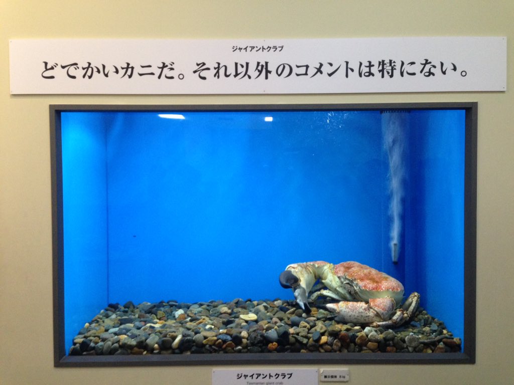 ituki_d's tweet photo. 猛毒展の時も思ったけど、サンシャイン水族館の特別展示の時の文章めっちゃ好き https://t.co/nxxCcubioK