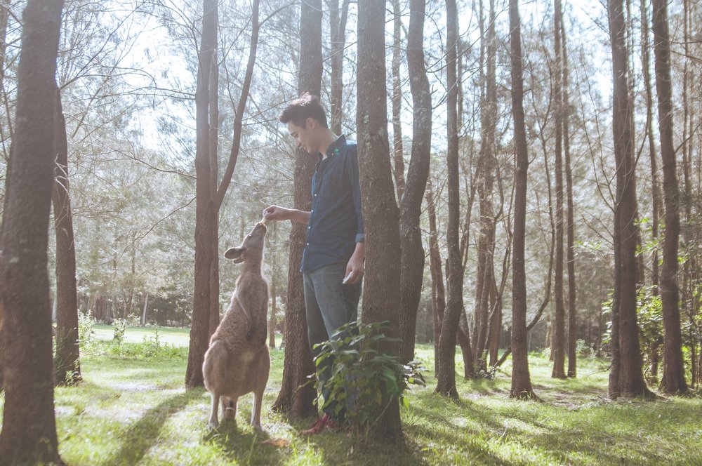 AusOfficeTPE's tweet image. #Workingholidaymaker #photo #competition weekly winners showcase #Uluru night sky &amp;amp; Australian hospitality! #TWinAU