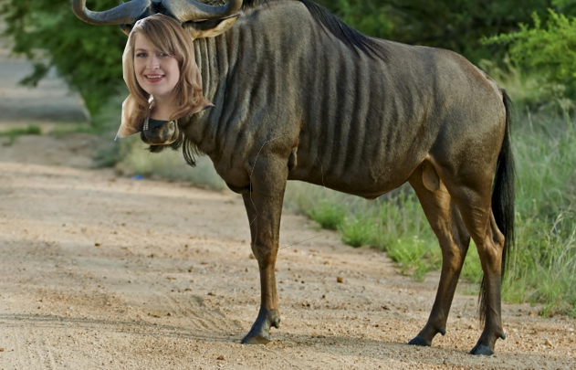 NotRollergirl's tweet photo. New year, gnu me... https://t.co/7MefPYYhjh