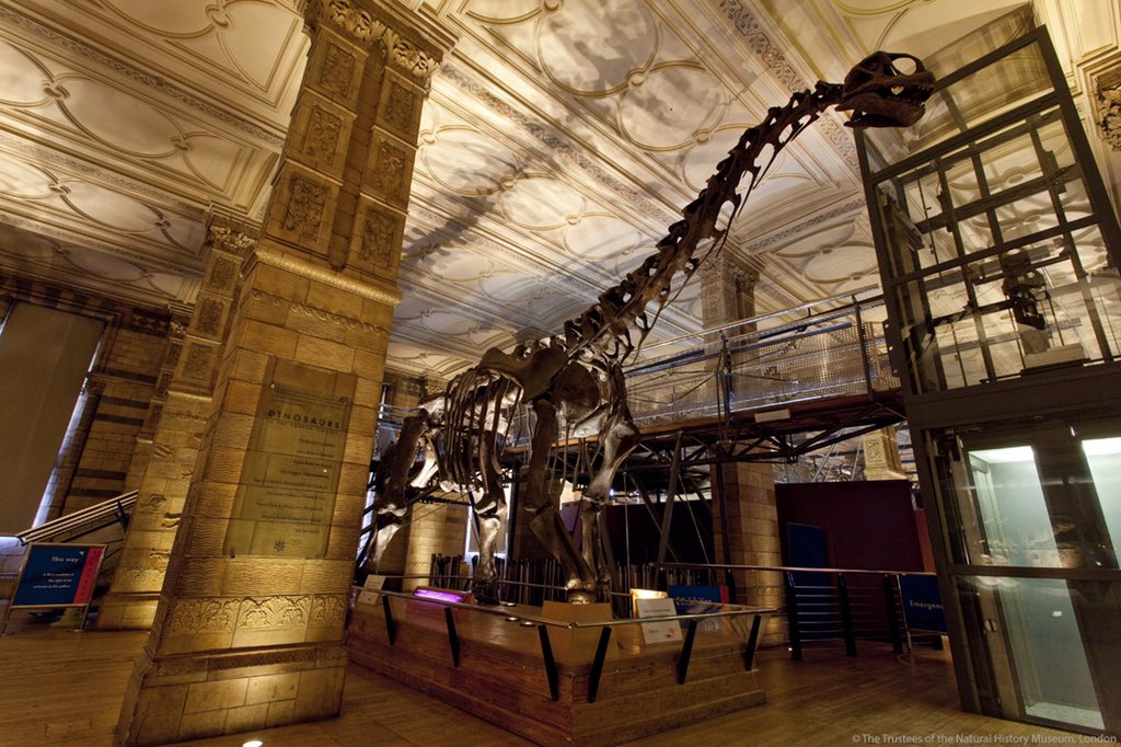 NHM_London's tweet photo. Reminder: our Dinosaurs gallery closes for maintenance today; reopen for #HalfTerm 12-22 Feb https://t.co/aUxktoJfN2 https://t.co/PtBEkd7JD1