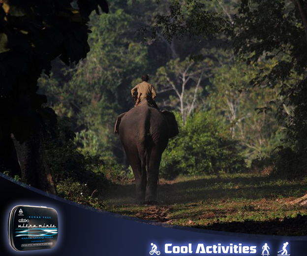 Ultramintz's tweet photo. Wildlife Safari in Nameri National Park is a paradise for nature lovers. #CoolActivities https://t.co/3vl8WilrYU