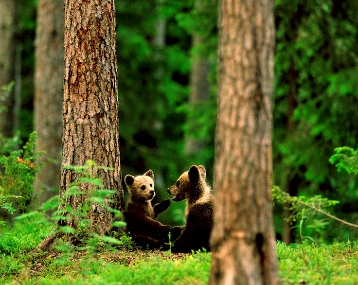 Maurizio Principato tweet media