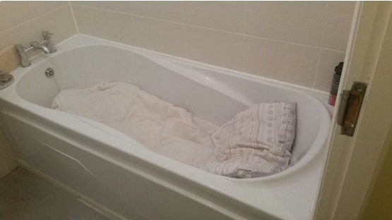 The Herald tweet media