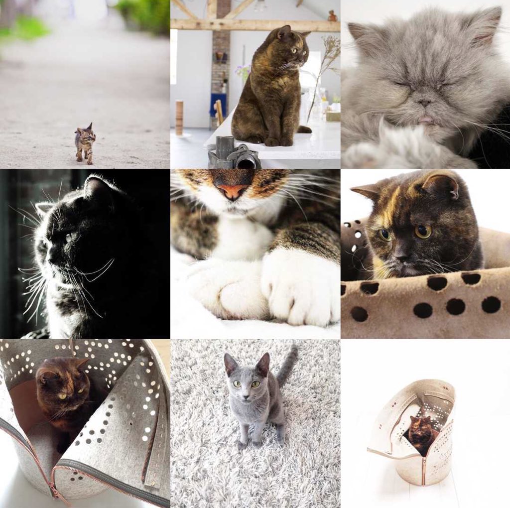 Snorhaar tweet media