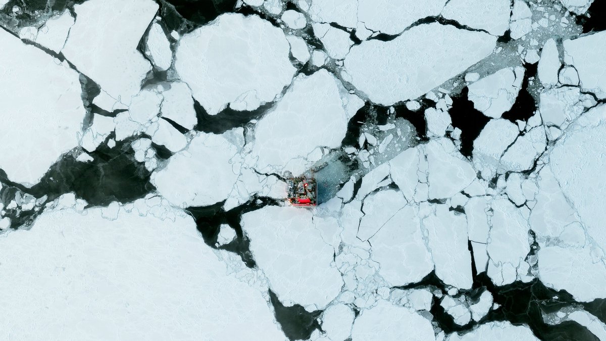 Embedded image permalink