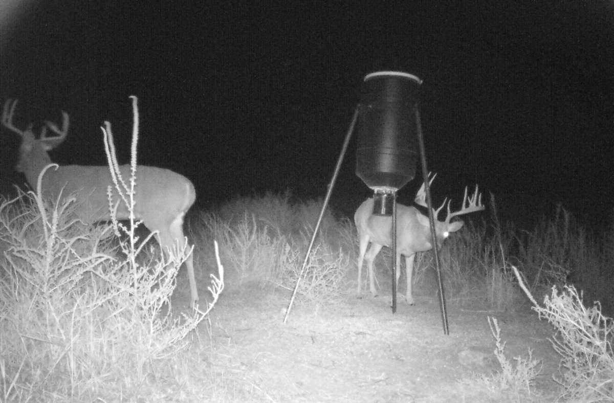 CarbonExpress's tweet photo. 7 Tips for #HuntingWhitetail Post Rut
https://t.co/C2bkWjebx7 https://t.co/ZwawSGcACF