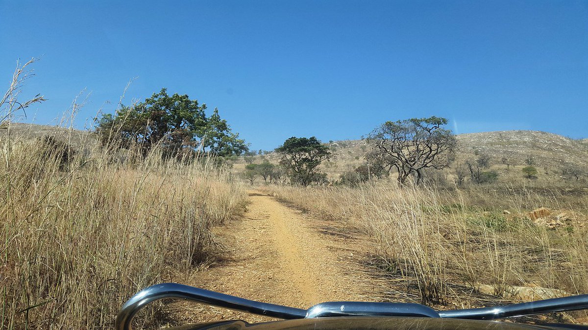 Toganim's tweet photo. North of Togo , in the wild  #westafrica #togo #thewild https://t.co/8XDyLQFh7l
