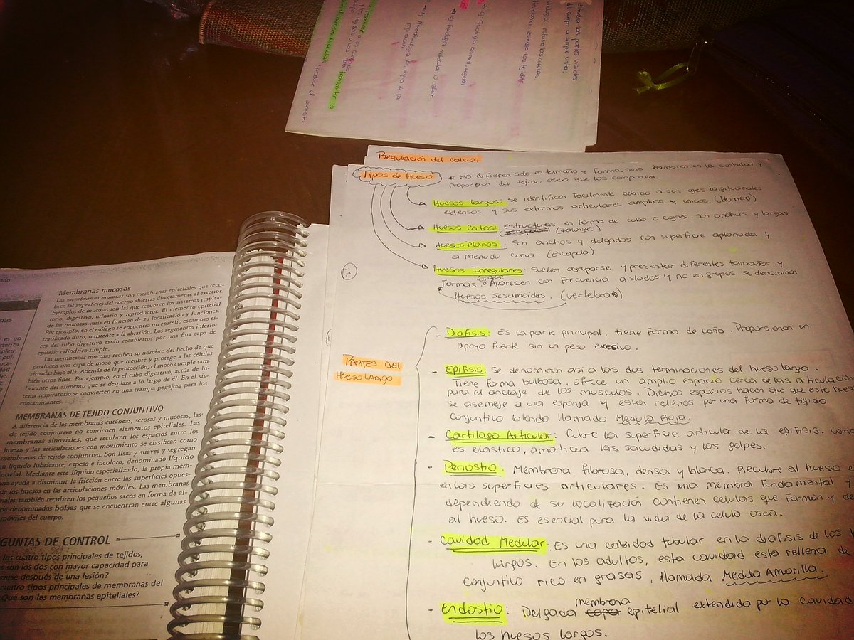 JuliiRu's tweet photo. De vuelta al ruedo :( https://t.co/q6goWKuGJV