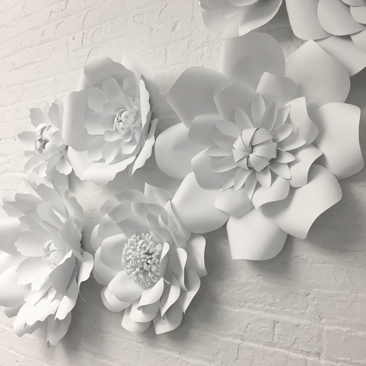 ignitionnyc's tweet photo. Our #wallflowers have us dreaming of Spring! #wallart #spring2016 #lovewhereyouwork #chelseanyc #paperflowers https://t.co/OCzFKojVY1