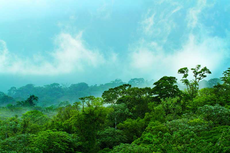 Ecoterra_Exp's tweet photo. Rainforest &amp; Cloud Forest Package 20% Off
https://t.co/d8YkGzLlrj
#touroffer #adventureincostarica https://t.co/sh8vJ3ldc0