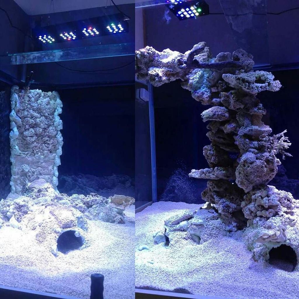 Akvaristan's tweet photo. #akvaristan #aquarium #akvaryum #aquarien #luminiled Gemis 150R3 #reeftank #aquascape #aquascaping #tank #tanksetup… https://t.co/UcfmoDKtyn