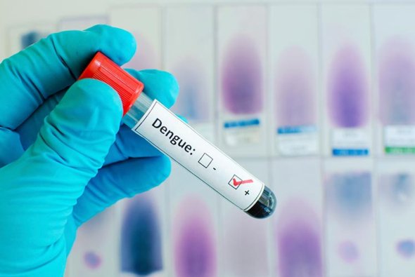 First Dengue Fever Vaccine Gets Green Light in Three Countries bit.ly/1NWYIfE