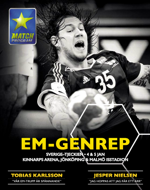 GamedayHandboll tweet picture