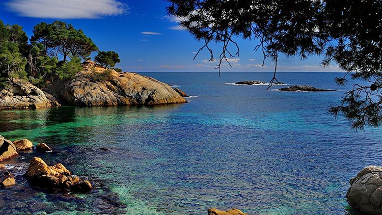 EmbajadaEspRiga's tweet photo. Learn about the #ecosafimed project to protect the biodiversity of the Mediterranean sea: https://t.co/zvH7cCb13m https://t.co/LV2FlaCHAx